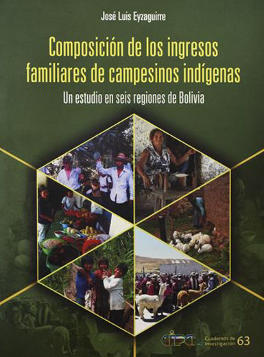 Composición de los ingresos familiares de campesinos indígenas